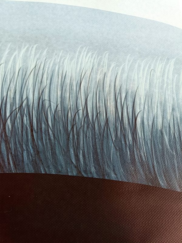 La Mirada Azul – Image 4
